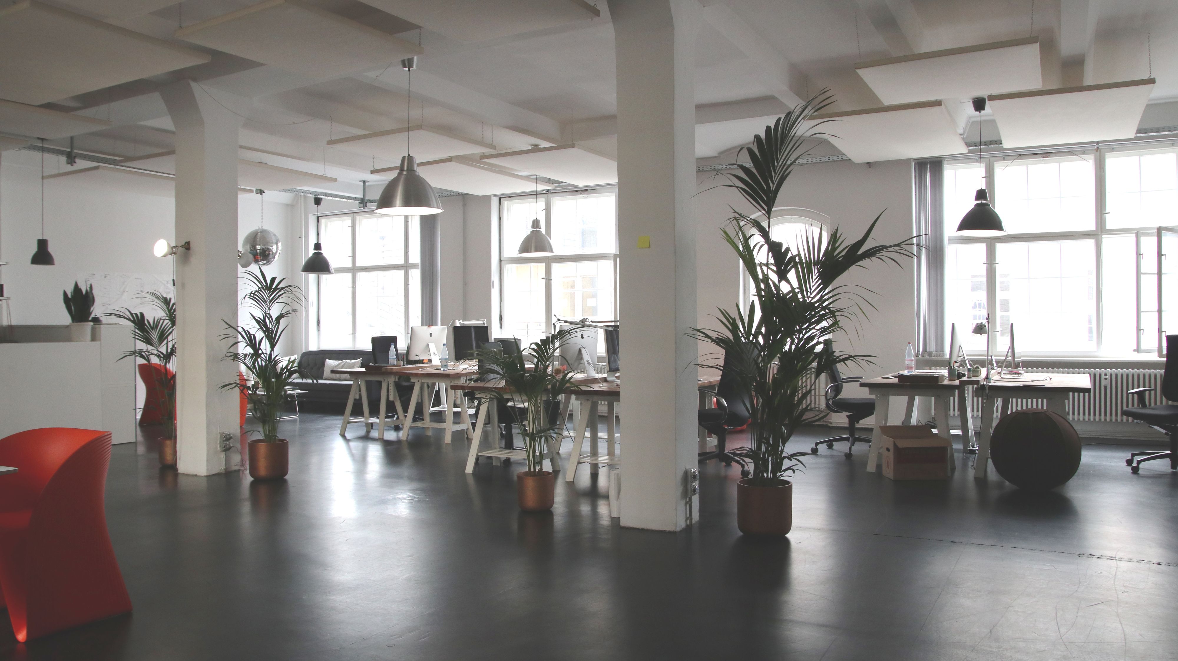 A clean, airy office interior with natural light